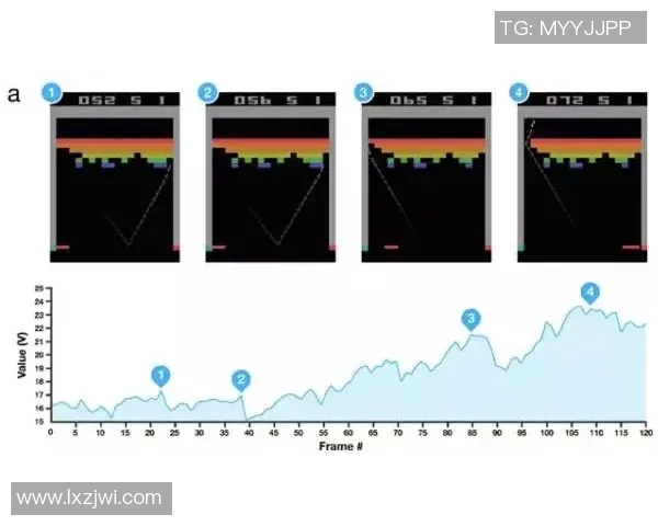 广州滑板队的节奏对比与训练策略深度解析